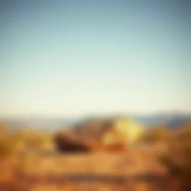Landscape of the Libyan Desert highlighting the natural environment surrounding the stone