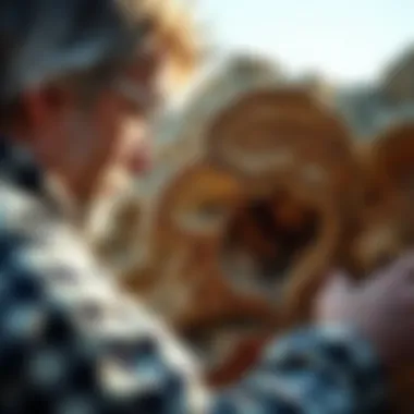 Examining Geological Features of Petrified Wood A collector examining the geological features of petrified wood