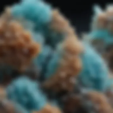 Unique Hemimorphite Crystal Formation Close-up view of hemimorphite crystals showcasing their unique formation and colors