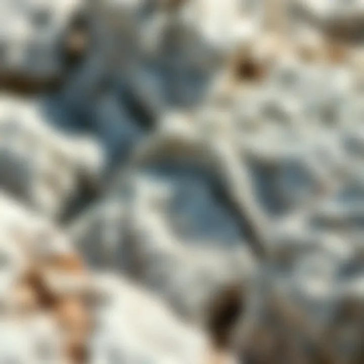 Natural Habitat of White Rock with Silver Flakes Geological formations featuring white rock with silver flakes in its natural habitat.