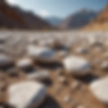 Natural landscape featuring white stones in their geological context.