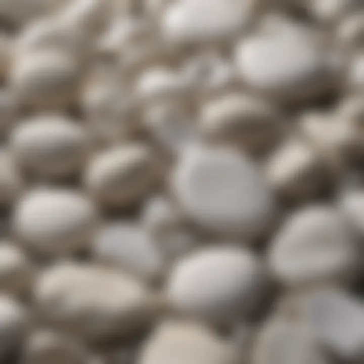 A collection of various white stones showcasing their unique textures and patterns.