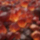 A stunning display of red orange crystals showcasing their vibrant color