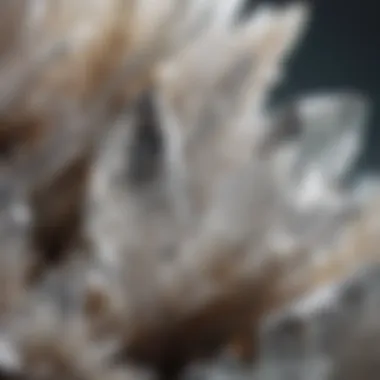 Intricate Formations of Clear Quartz Close-up view of the intricate formations found in a clear quartz crystal.