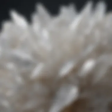 Translucent White Quartz Detail A close-up of translucent white quartz showcasing its clarity and natural patterns.
