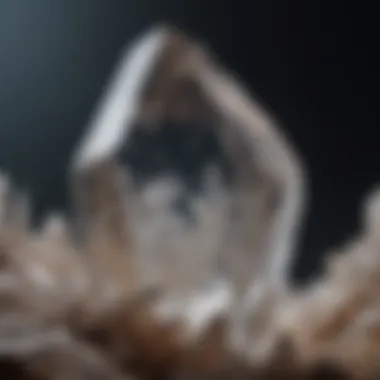 Close-up of a clear quartz crystal highlighting its internal structure.