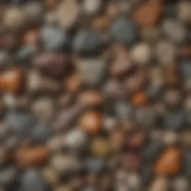 Artistic Arrangement of Rock Varieties A captivating collection of various rock types arranged artistically