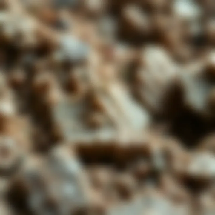 A close-up of mineral textures revealing intricate details.
