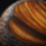 Close-up of a polished tiger's eye stone showcasing its unique chatoyancy