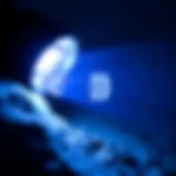 254nm UV Flashlight Close-Up A close-up of a 254nm UV flashlight emitting light