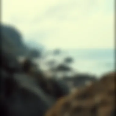 A scenic view of a coastal area where megalodon teeth can be found