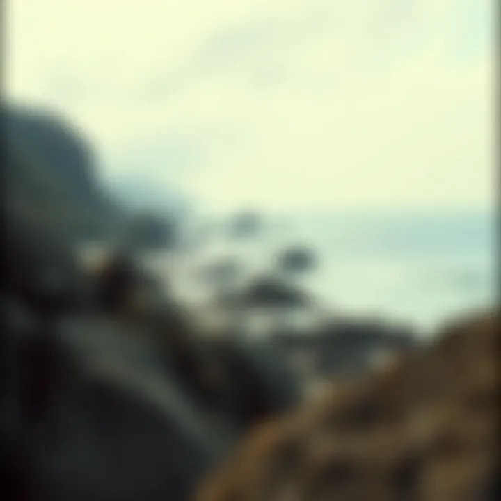 A scenic view of a coastal area where megalodon teeth can be found