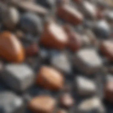 Diverse Minerals in Granite Granite rock formation showcasing mineral diversity