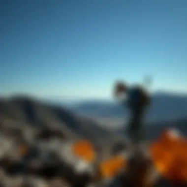 An explorer examining minerals in the Southern California hills
