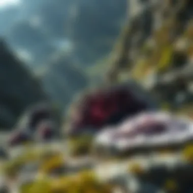 Geological landscape showcasing amethyst deposits