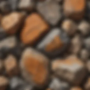 A close-up view of metamorphic rock textures