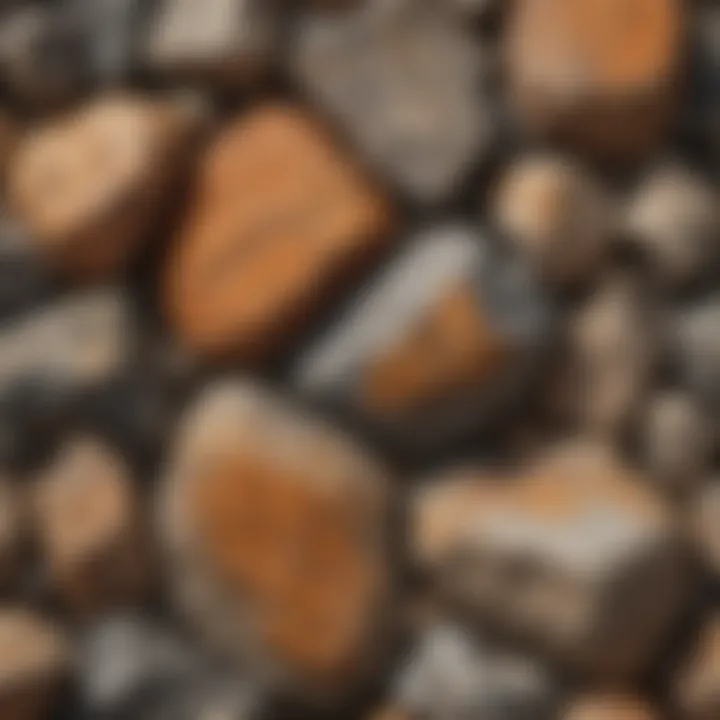 A close-up view of metamorphic rock textures