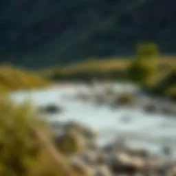 A serene riverbank perfect for gold panning
