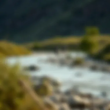 A serene riverbank perfect for gold panning