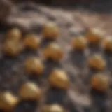 Golden nuggets found during prospecting in Arizona's rugged terrain