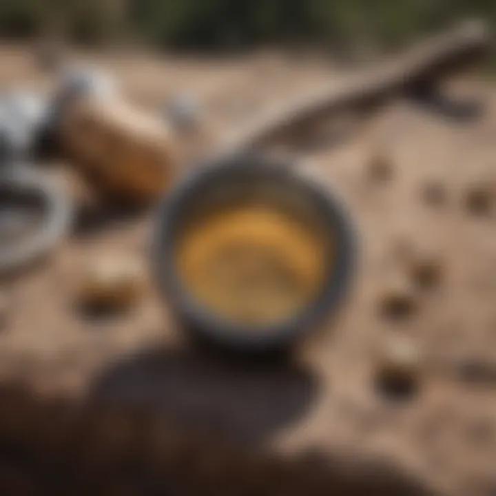 Modern tools and techniques utilized for gold prospecting