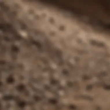 Close-up of a high-quality gravel sifter in use