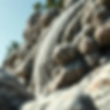 Geological formation showcasing gray rock with white streaks in natural habitat