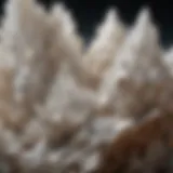 Close-up view of gypsum crystals showcasing their unique formation