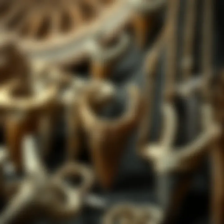 Cultural Heritage of Dinosaur Tooth Necklaces A historical display of various dinosaur tooth necklaces from different cultures.