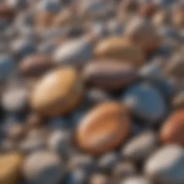 Diverse Textures and Colors of Beach Rocks Unique beach rock formations showcasing various textures and colors