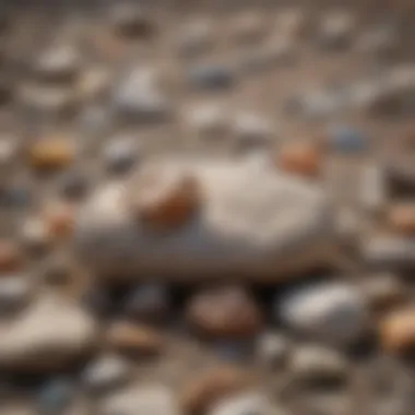 Field guide showcasing various rock samples for identification