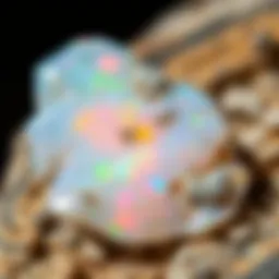 Close-up view of raw opal showcasing its unique color play