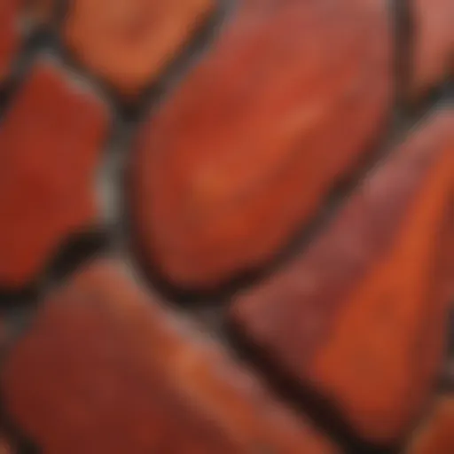 Close-up view of raw red jasper showcasing its unique texture and color variations.