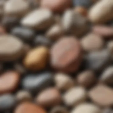 A close-up view of various types of rocks showing unique textures and colors.