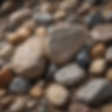 A high-resolution close-up of various rock specimens arranged artistically.