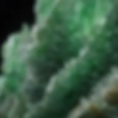 Close-up view of jadeite crystal showcasing its vibrant green hues and intricate patterns