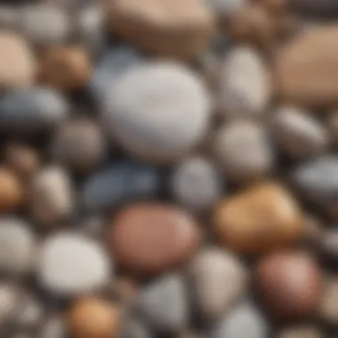 Close-up view of common rock types found near Lake Michigan