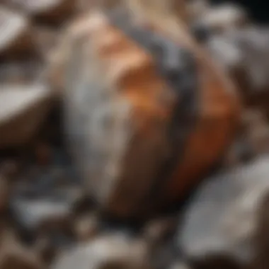 Unique Mineral Composition in Metamorphic Rock Close-up of a metamorphic rock with unique mineral composition