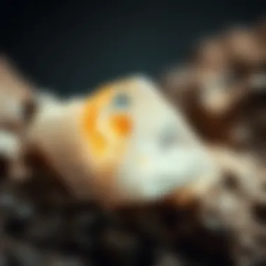 Diagram illustrating the geological formation of quartz