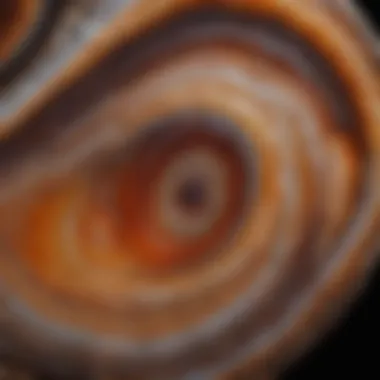 Close-up view of polished agate slice showcasing intricate banding patterns