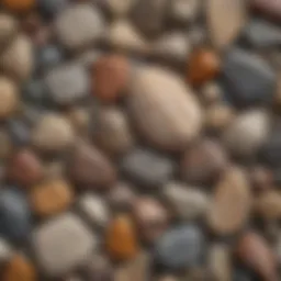 A detailed close-up of various rock types laid out on a natural surface, showcasing their unique textures and colors.