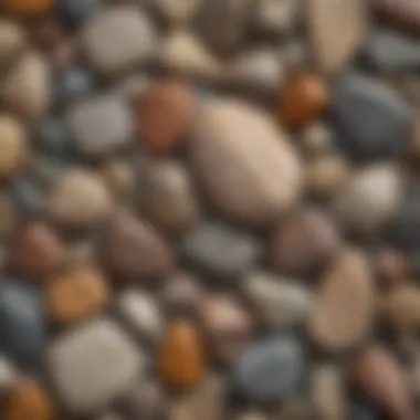 A detailed close-up of various rock types laid out on a natural surface, showcasing their unique textures and colors.