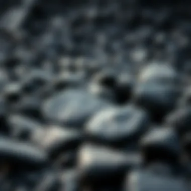 Smooth Black Rocks in Natural Landscape An artistic arrangement of smooth black stones in a natural landscape setting.