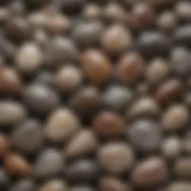 A collection of beautifully polished Petoskey stones displayed elegantly