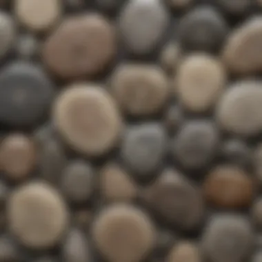 Close-up of polished Petoskey stone showcasing its unique patterns