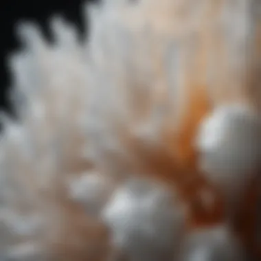 Close-up of Selenite's Mineral Structure Close-up of selenite's mineral structure