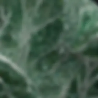 Close-up view showcasing intricate patterns of green and white in crystal formation