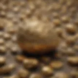 Close-up view of high-quality panned gold