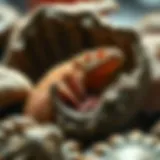 Intricate Details of Bird Fossils A stunning display of bird fossils showcasing their intricate details.