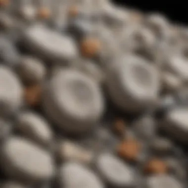 Versatile Applications of Pumice Variety of pumice stones used in different industries, highlighting their versatility